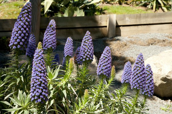 Comment isoler efficacement sa maison