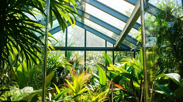 Les avantages d'une serre en verre trempé pour votre jardin